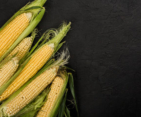 Fresh corn on cobs on a dark stone table. Food concept. Copy space top view