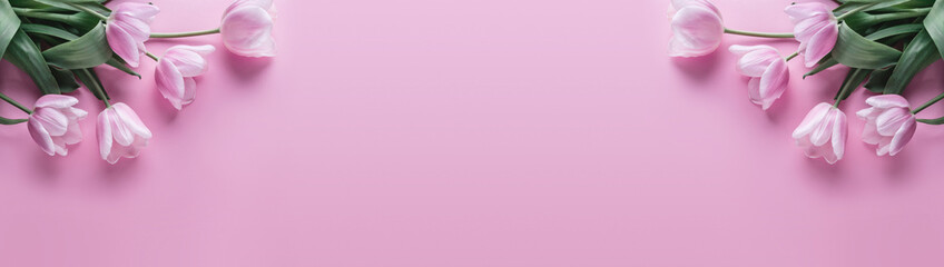 Pink tulips flowers on pink background. Waiting for spring. Happy Easter card. Flat lay, top view