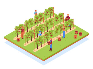 Winery Isometric Composition