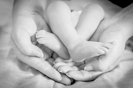 Cute new born baby infant's feet in the hands of his mother. Love and care stock image. Black and white.