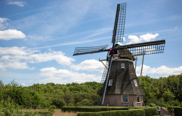 Fototapeta na wymiar Windmill in Holland 
