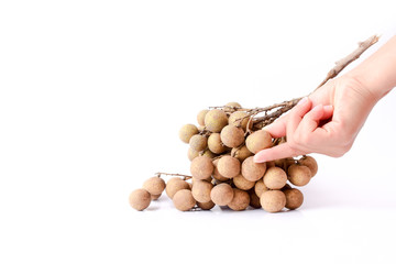 hand holding bunch of longan isolated on white background,Longan exotic fruit