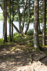 Fototapeta premium Keji camping site on the lake on a sunny day