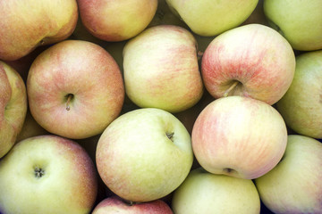 Pile of ripe green and red apples closeup. Natural background
