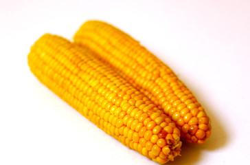 Piled,organic corn on white background 2
