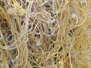 Tangled fishing net on beach, Island of Kauai