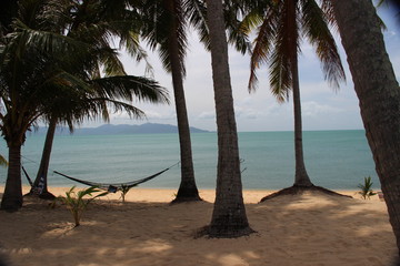  coconut beach