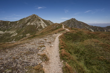 Path in the mountains