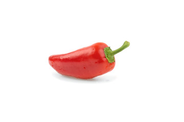 red pepper with water drops on a white background