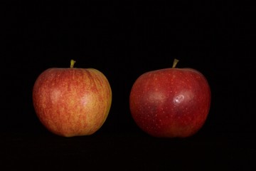 Single or group of apples including granny smith, golden delicious and royal gala on a black background.