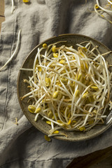 Raw Organic Soy Bean Sprouts