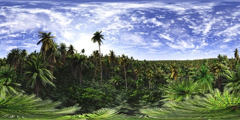 Obraz premium Tree of palm trees. Environment map. HDRI map. Equirectangular projection. Spherical panorama. landscape 