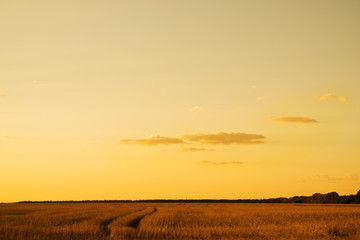 Obraz premium Sunset sky in summer