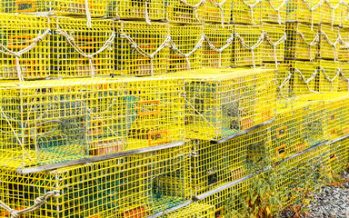 rows of bright yellow lobster traps with ropes attached stacked on a wharf in Massachusetts