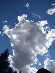 nuage en forme de carte de France