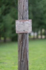 Wooden sign on the pole. Trees and green grass on the background