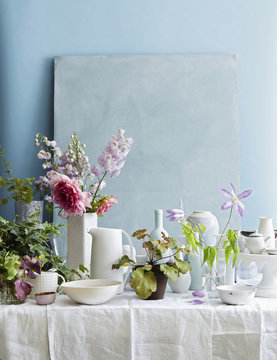 Collection of Flowers and Vases
