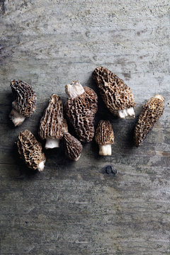Fresh Morel Mushrooms