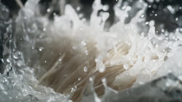 Throwing fresh noodle into boiling water. Shot with high speed camera, phantom flex 4K. Slow Motion.