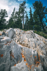 Rock and trees