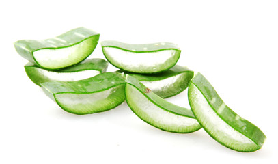 Aloe Vera On White Background.