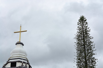 church in front of a pine