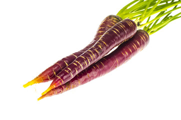 Purple carrot on white background