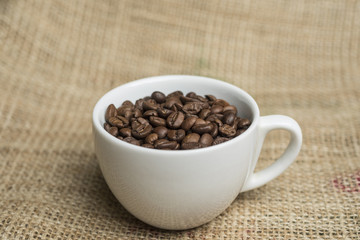 Macro of a coffee bean in roasted coffee grounds.