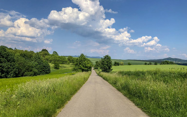 Road in the middle of green grass meadows with trees and blue sky with clouds in the background