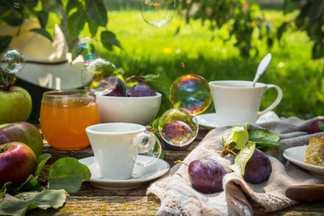 Eating apples juice pie coffee tea on a picnic in nature in a rustic garden on a sunny afternoon, the concept of outdoor recreation, travel and food