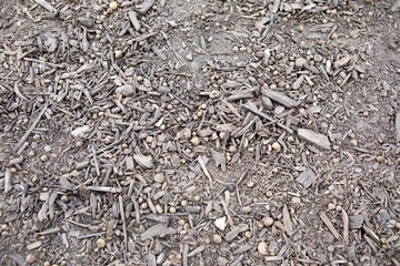 Earth texture in Atlanta, Georgia