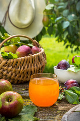 Eating apples juice pie coffee tea on a picnic in nature in a rustic garden on a sunny afternoon, the concept of outdoor recreation, travel and food