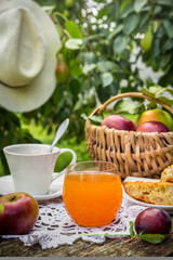 Eating apples juice pie coffee tea on a picnic in nature in a rustic garden on a sunny afternoon, the concept of outdoor recreation, travel and food