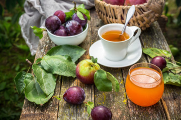 Eating apples juice pie coffee tea on a picnic in nature in a rustic garden on a sunny afternoon, the concept of outdoor recreation, travel and food