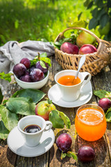 Eating apples juice pie coffee tea on a picnic in nature in a rustic garden on a sunny afternoon, the concept of outdoor recreation, travel and food