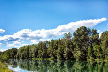 Beautiful bank of river with green trees under blue cloudy sky on summer sunny day.