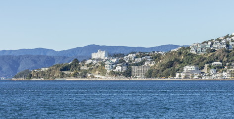 Fototapeta na wymiar Landscape image of Oriental Bay, Wellington, New Zealand on a fine day.