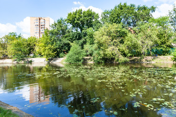 Zhabenka river near pond in of Moscow in summer