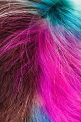 top view of female multicolored dyed hairs