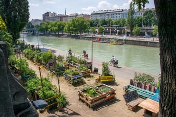 Radweg an der Donau in Wien vorbei an Gemüsebeeten mit Palettenmöbeln