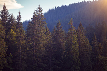 beautiful mountain landscape