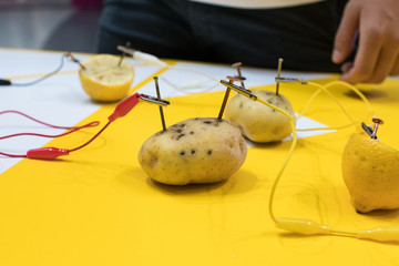 Potato battery STEM activity with potatoes, lemons, alligator clips, zinc and copper nails. Natural...