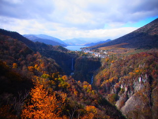 autumn leaves in japan