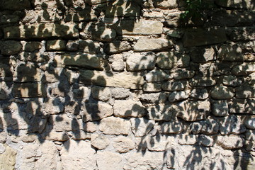 Mur en pierre avec ombre d'arbres
