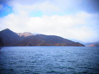 autumn leaves in japan