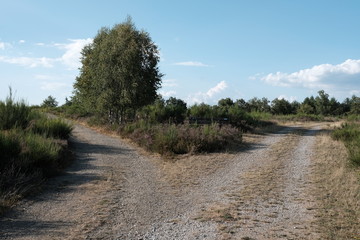 Wege Gabelung Land und Natur