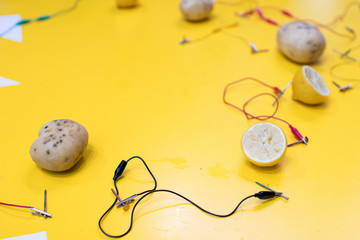 Potato battery STEM activity with potatoes, lemons, alligator clips, zinc and copper nails. Natural battery to turn on a led. scientific experiment for children on electricity on yellow background