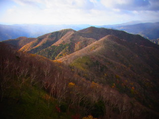 autumn leaves in japan