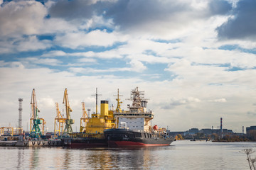 Fototapeta premium Cranes and ships in the port