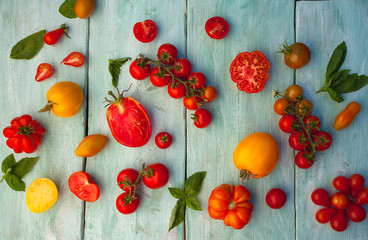  fresh organic colorful tomatoes on wooden surface